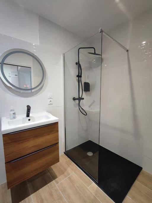 Apartmán Jardin Entre Cite Et Bastide Carcassonne Exteriér fotografie